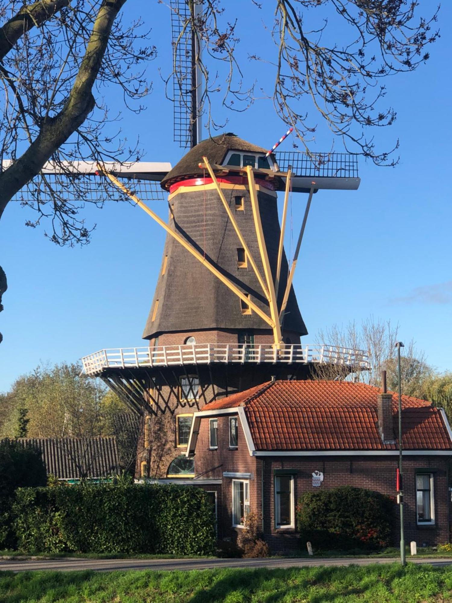 Slapen In De Molen Arkel Exterior foto
